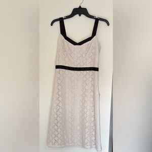 LOFT Cream Eyelet Lace Dress Black Trim Fully Lined A-Line Coquette Classic 4P